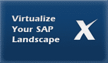 SAP Virtualization Implementation