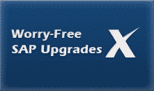 SAP Upgrade Project Plan