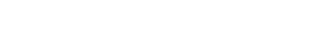 DXS White Logo